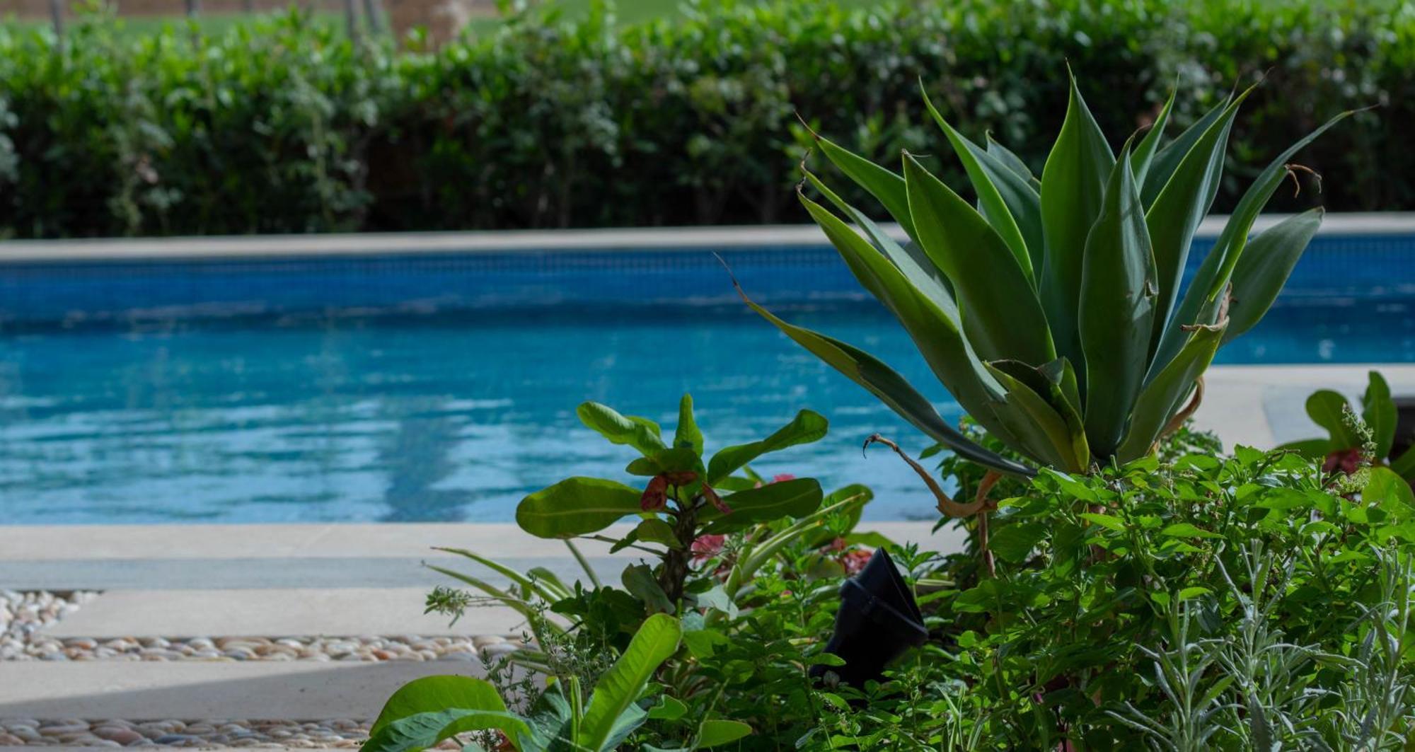 Safty Palm Oasis Private Pool & Access